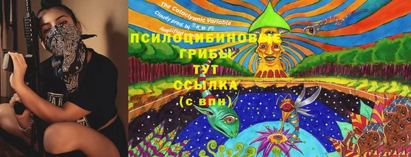 винт Армянск