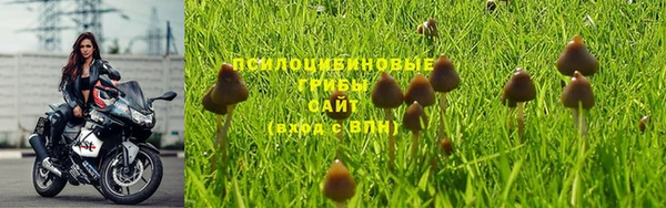 винт Армянск