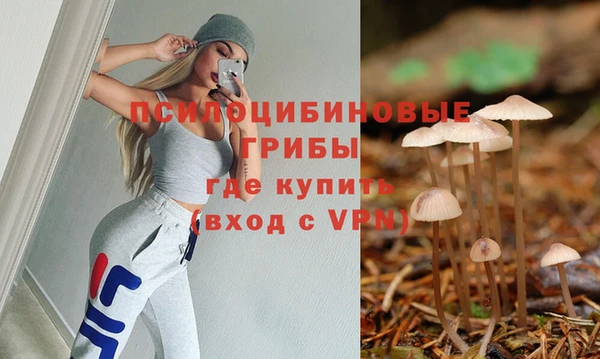 хмурый Нефтекумск